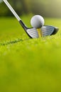 Let`s golf today Royalty Free Stock Photo