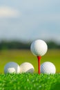 The golf ball on tee pegs ready to play and on green grass in the nature background Royalty Free Stock Photo