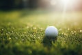 Close-up Golf Ball on Tee with Serene Green Bokeh Background, Perfect Shot on the Golf Course Royalty Free Stock Photo