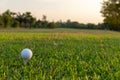 Close up golf ball woman putting golf ball in hole tee with club in golf course on evening on time for healthy sport. Royalty Free Stock Photo