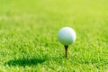 Close up Golf club hitting golf ball along fairway towards green with copy space, Royalty Free Stock Photo