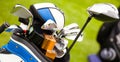 Close up of Golf clubs in a bag Royalty Free Stock Photo