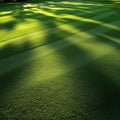 Close-up of golf course grass with sunlight and shadows Royalty Free Stock Photo