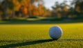 Close up of golfball Royalty Free Stock Photo