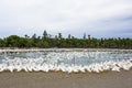 Close-up gooses in the poultry farm Royalty Free Stock Photo