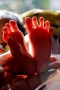 Newborn baby legs close up