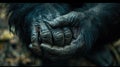 A close up of a gorilla's hand with dirty, calloused skin, AI Royalty Free Stock Photo