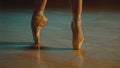 Close up graceful ballet dancer feet in pointe shoes