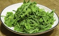 Green and healthy food : gracilaria Royalty Free Stock Photo