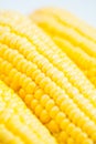 Close up grains of ripe corn Royalty Free Stock Photo