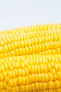 Close up grains of ripe corn Royalty Free Stock Photo
