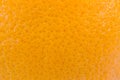 Close up grapefruit or orange peel texture Royalty Free Stock Photo