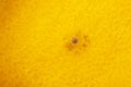 Close up of grapefruit or orange texture., close-up abstract blurred image Royalty Free Stock Photo