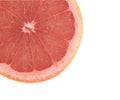 Close up of grapefruit section