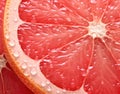 a close up of a grapefruit slice