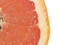 Close-up of a grapefruit slice on white background. Slice of ripe grapefruit. Close-up of fresh grapefruit slice on wite Royalty Free Stock Photo