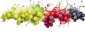 Close-up of grapes with water splashes Royalty Free Stock Photo