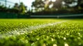 Close-up grass tennis court, freshly cut grass on a tennis court