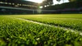 Close-up grass tennis court, freshly cut grass on a tennis court