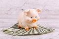 Close-up on a gray background piggy piggy bank with money. Royalty Free Stock Photo