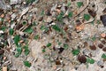 Close-up - gray-brown stone background with pieses of glass.