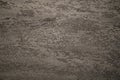 Close-up of gray concrete wall surface with small pits and irregular texture Royalty Free Stock Photo