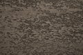 Close-up of gray concrete wall surface with small pits and irregular texture Royalty Free Stock Photo