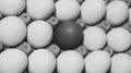 Close up gray scale shot of a carton of eggs