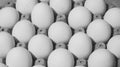 Close up gray scale shot of a carton of eggs