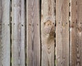 Close up of gray wooden fence panels Royalty Free Stock Photo