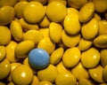 Close-up of a grayish-blue candy among bright yellow candies. Different not less.