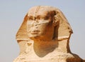 Close-up on the great Sphinx in Cairo, Giza, Egypt Royalty Free Stock Photo