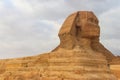 Close-up of Great Sphinx of Giza in Cairo, Egypt Royalty Free Stock Photo