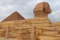 Close-up of Great Sphinx of Giza in Cairo, Egypt Royalty Free Stock Photo