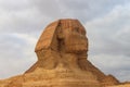 Close-up of Great Sphinx of Giza in Cairo, Egypt Royalty Free Stock Photo