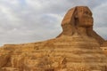 Close-up of Great Sphinx of Giza in Cairo, Egypt Royalty Free Stock Photo
