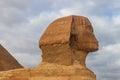 Close-up of Great Sphinx of Giza in Cairo, Egypt Royalty Free Stock Photo