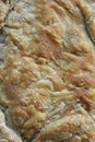 Close up of spinach cheese pie Royalty Free Stock Photo