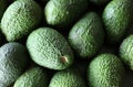 Close-up of green avocados Royalty Free Stock Photo