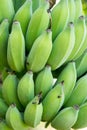 Close up Green banana bundle abstract background