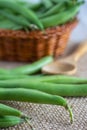 Close-up of green beans on burlap, with more beans in basket and wooden spoon out of focus Royalty Free Stock Photo