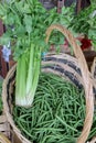 Close up of green beans and celery for sale in a vegetable market Royalty Free Stock Photo