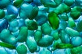 Close-up of green and blue pebbles