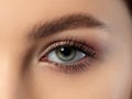 Close up of green blue woman eye Royalty Free Stock Photo