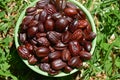 Jojoba seeds in a green bowl