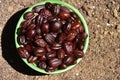 Jojoba seeds in a green bowl