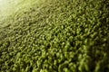 Close up of green carpet