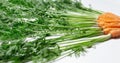 Close-up of green carrots tops on white background Royalty Free Stock Photo