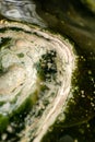 Close up green chalcedony Gemstone texture