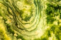 Close up green chalcedony Gemstone texture